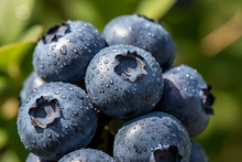 Load image into Gallery viewer, juicy Blueberries
